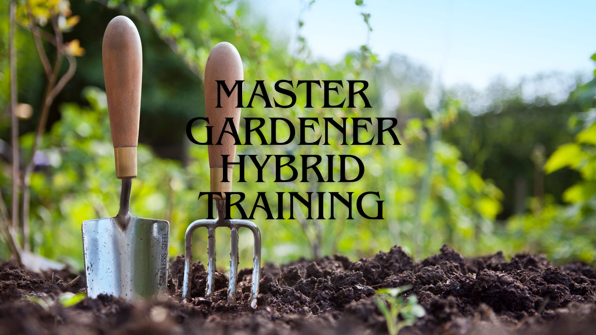 Master Gardener Hybrid Training | Serving Henderson, Knox, McDonough ...